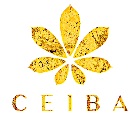 Juan Carlos Zazueta Armenta